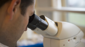 Manipulation au microscope dans un laboratoire