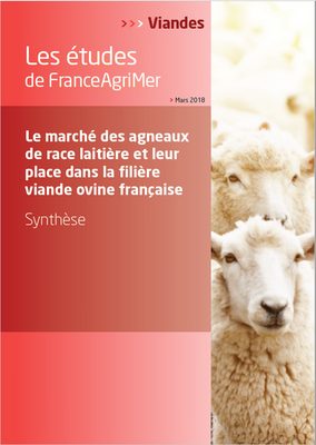 ETUDE : Le marché des agneaux de race laitière et leur place dans la filière viande ovine française