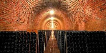 image d'une cave à vin