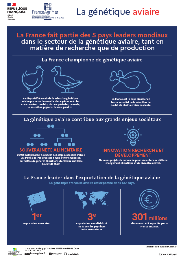 Infographie Génétique Aviaire