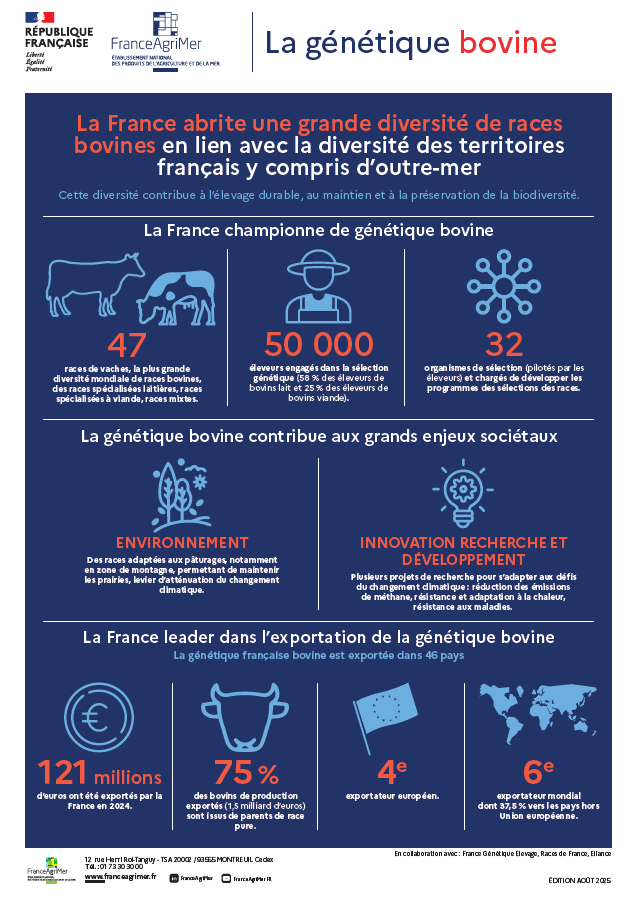 Infographie Génétique Bovine