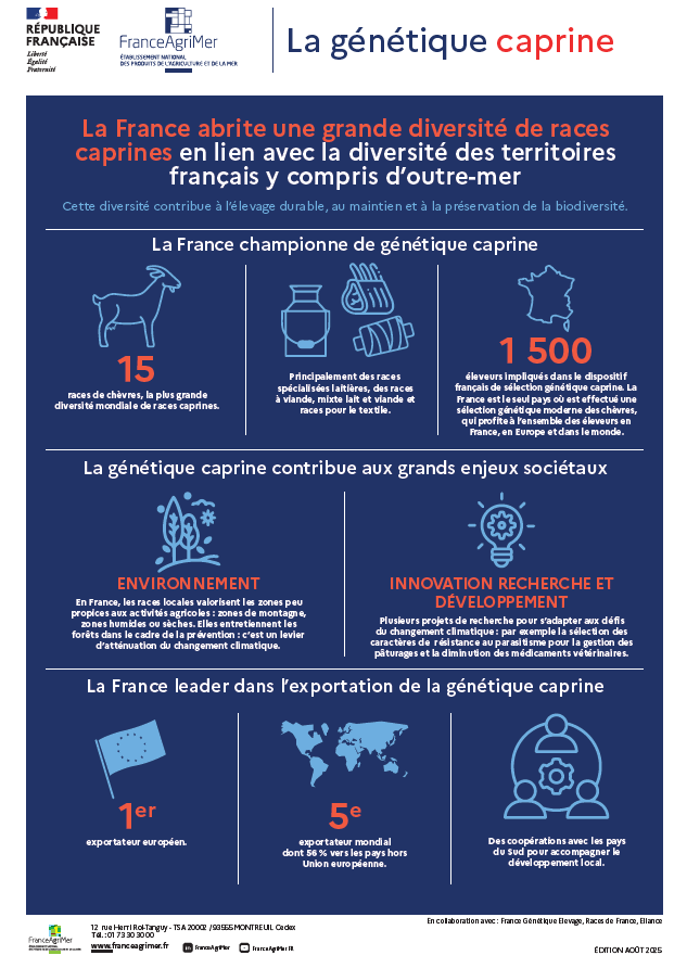Infographie Génétique Caprine