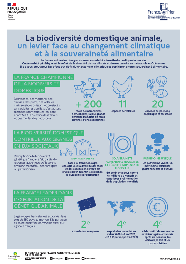 Infographie Génétique Animale française
