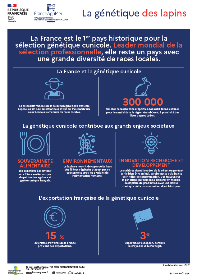 Infographie Génétique des Lapins