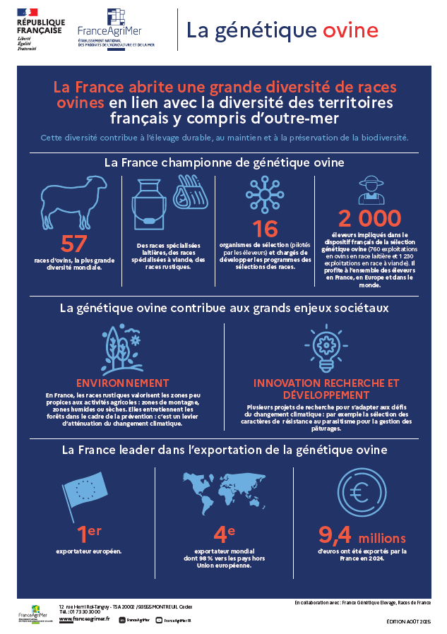 Infographie Génétique Ovine