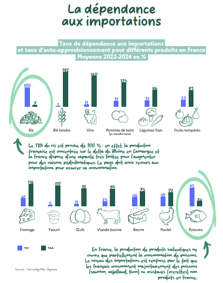 taux de dépendanc aux importations et taux d'auto-approvisionnement pour différents produits en France, moyenne 2022-2024 en %