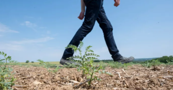Jambes d'un cultivateur marchant dans son champ