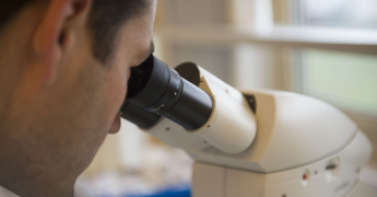 Manipulation au microscope dans un laboratoire
