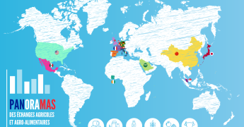 Image graphique illustrative avec map monde complète et pays concernés mis en valeur par un jeu de différentes couleurs