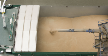 Chargement de blé sur une péniche