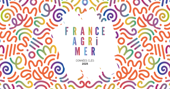 illustration du document à consulter