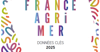 illustration couverture