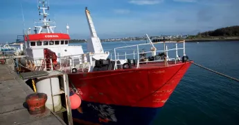 Bateau de pêche au port