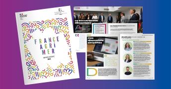Image graphique illustrative du document