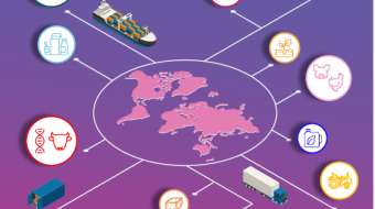 Image graphique illustrative des échanges internationaux