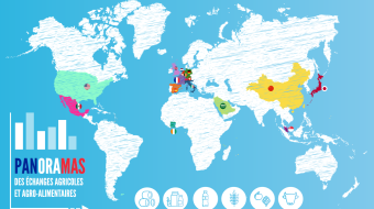 Image graphique illustrative avec map monde complète et pays concernés mis en valeur par un jeu de différentes couleurs