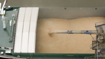 Chargement de blé sur une péniche