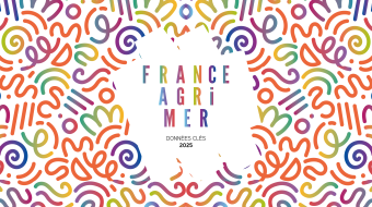 illustration du document à consulter