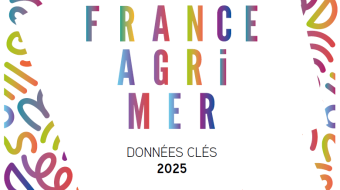 illustration couverture