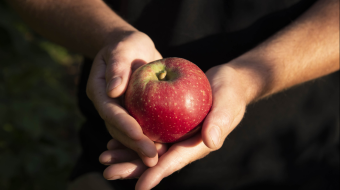 Pomme dans des mains