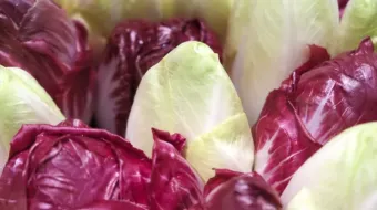 Endives en vrac