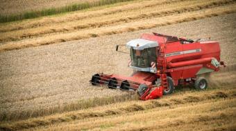 Moissons en cours dans un champ de blé