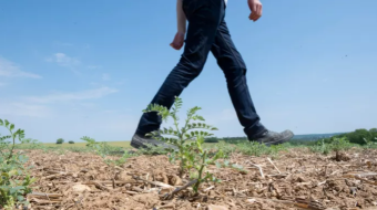 Jambes d'un cultivateur marchant dans son champ