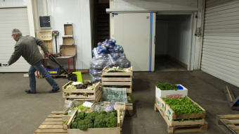 Un homme transporte des palettes de denrées alimentaires dans un entrepot