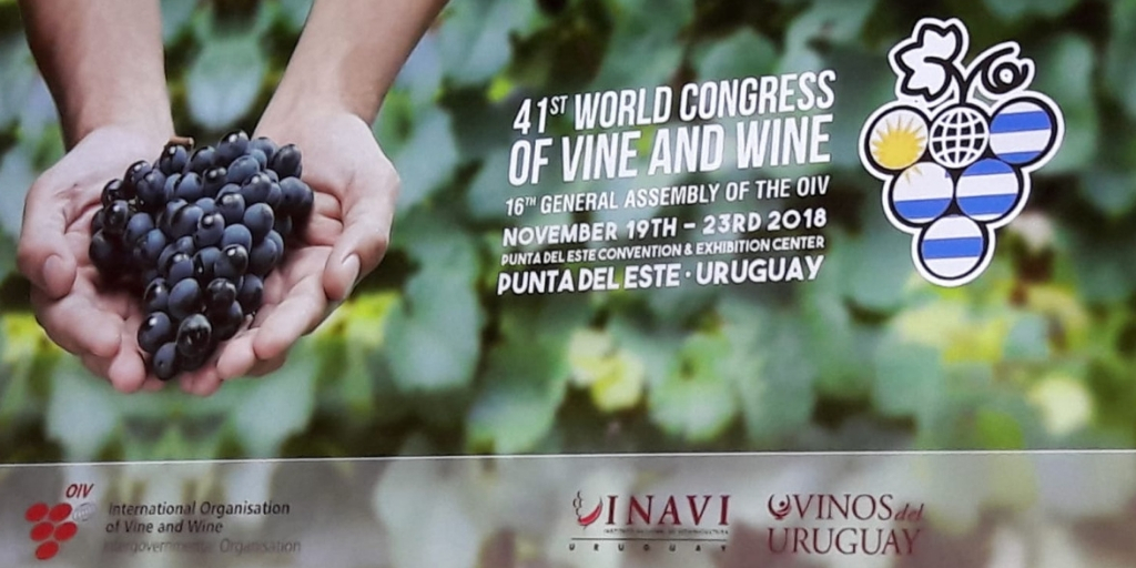 OIV Punta del Este
