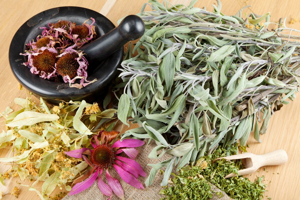 photo de plantes médicinales