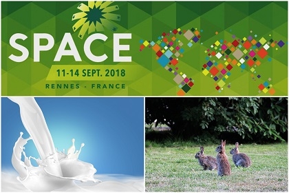 Affiche du space 2018 et photo de lait et de lapin