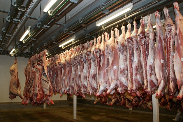 abattoir