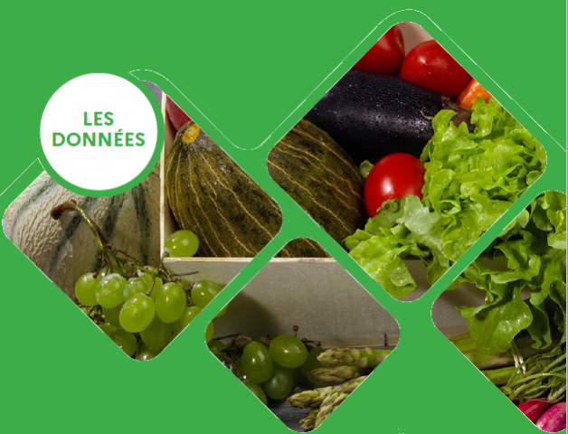 Bilan 2020 des achats de fruits et légumes frais par les ménages français  pour leur consommation à domicile