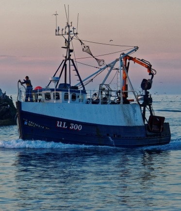 Image de déchargement de caisses de poisson