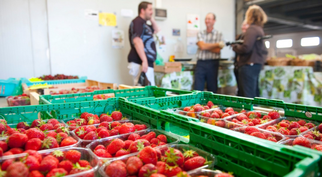 Les promesses des fruits et légumes en circuit court