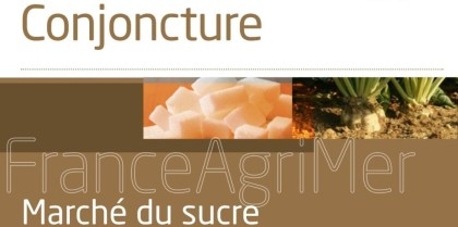 couverture de la publication