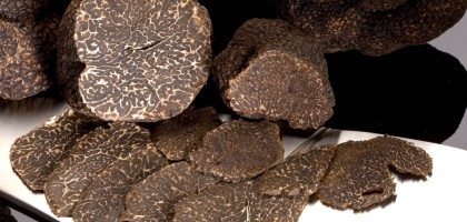 photo de truffe noire