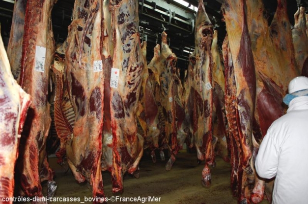 Contrôle des carcasses en abattoir par les services de FranceAgriMer