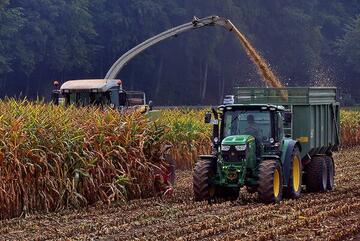 50 % de la récolte de maïs réalisée en France au 5 octobre 2020