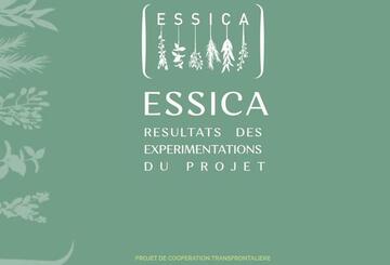 logo du projet Essica