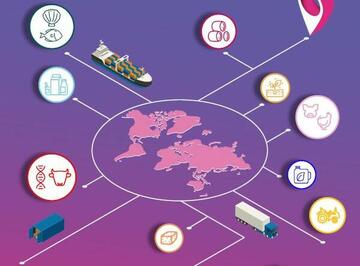 Image d'illustration pour l'exportation mondiale
