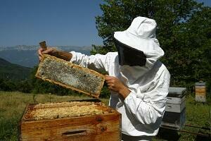 photo d'un apiculteur