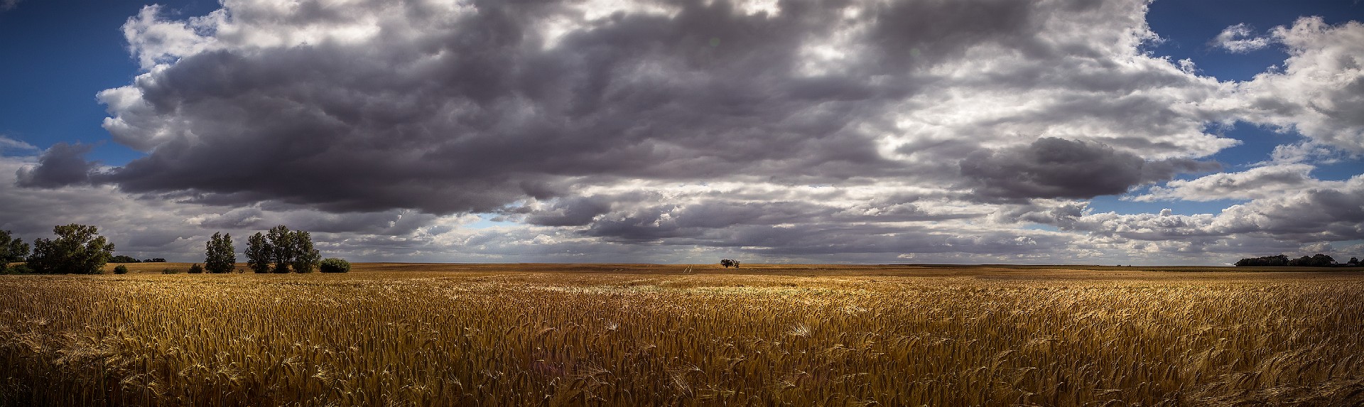 Céréales