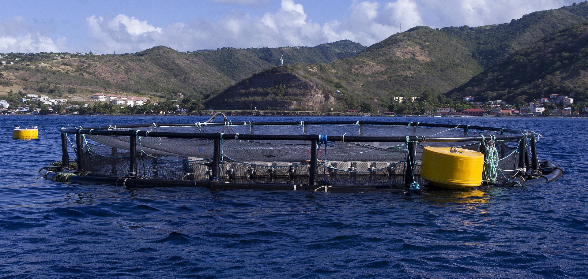 peche aquaculture