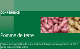 Conférence pomme de terre