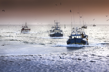 Bateaux de pêche
