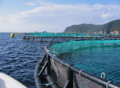 peche_Aquaculture