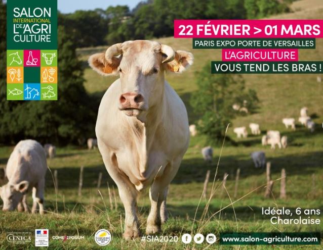 affiche du SIA 2020
