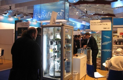 stand chalant 2
