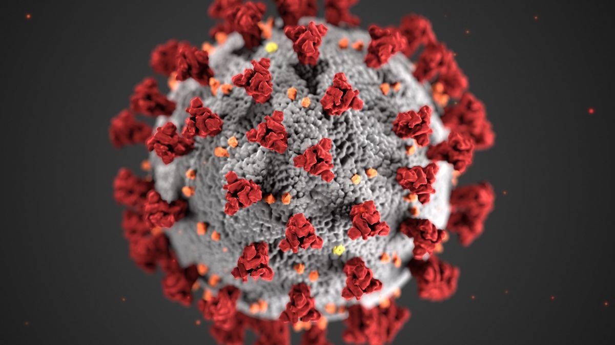 image du coronavirus